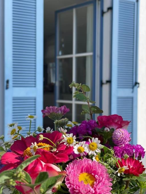 Reetdachhaus Seasons Mit Kamin & Sauna Groß Schwansee エクステリア 写真